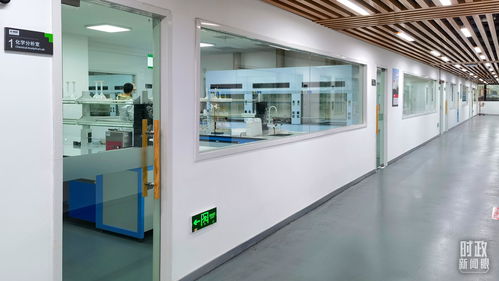 衡水新聞網 電子專用材料制造——產業新引擎，發展新動能